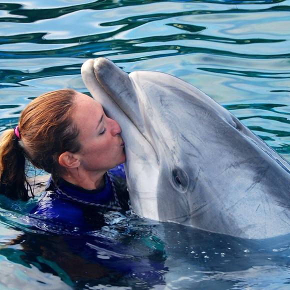 Meet your Posher, Deneke - Picture 1 of 1